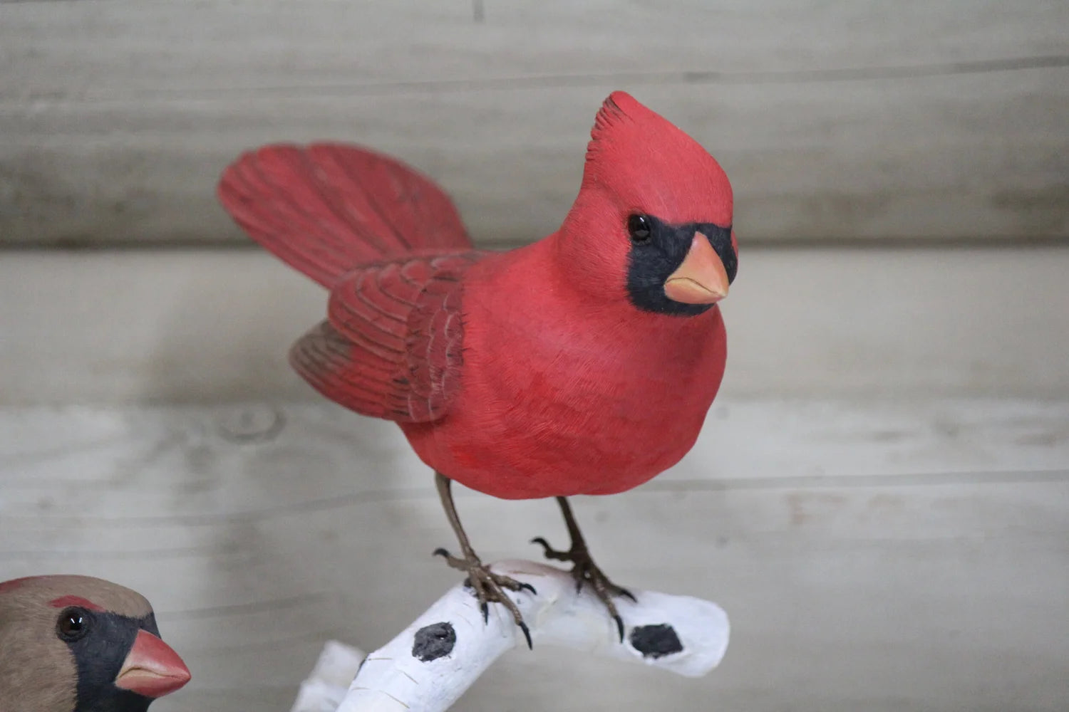 Cardinals