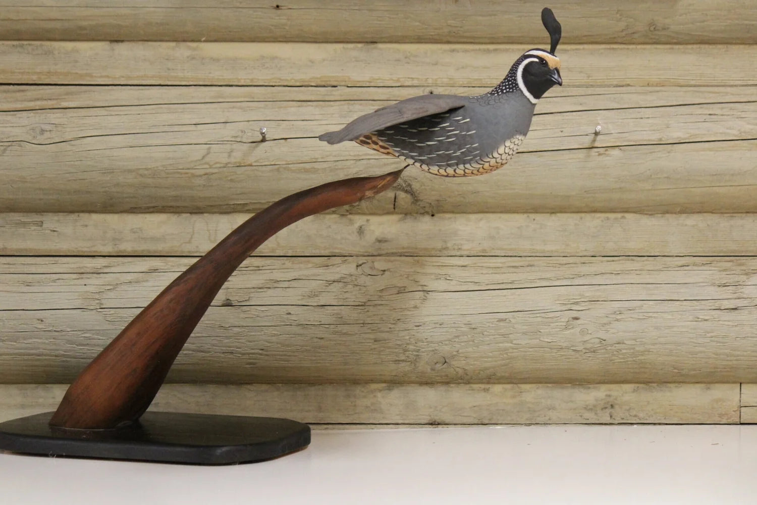 Quail