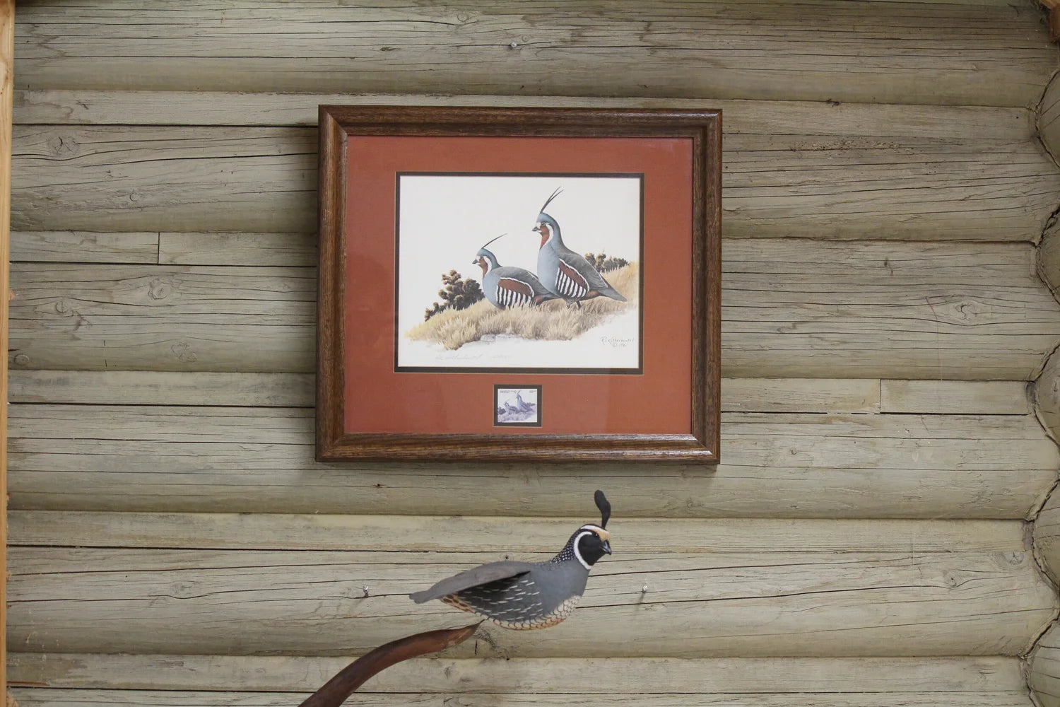 Quail