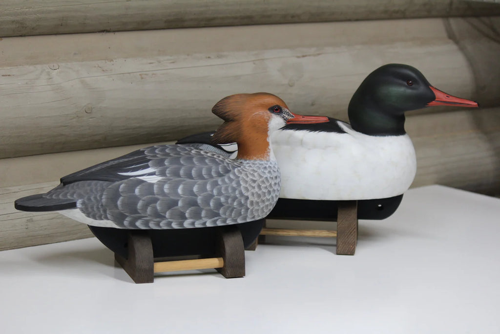 Common Mergansers