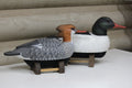 Common Mergansers