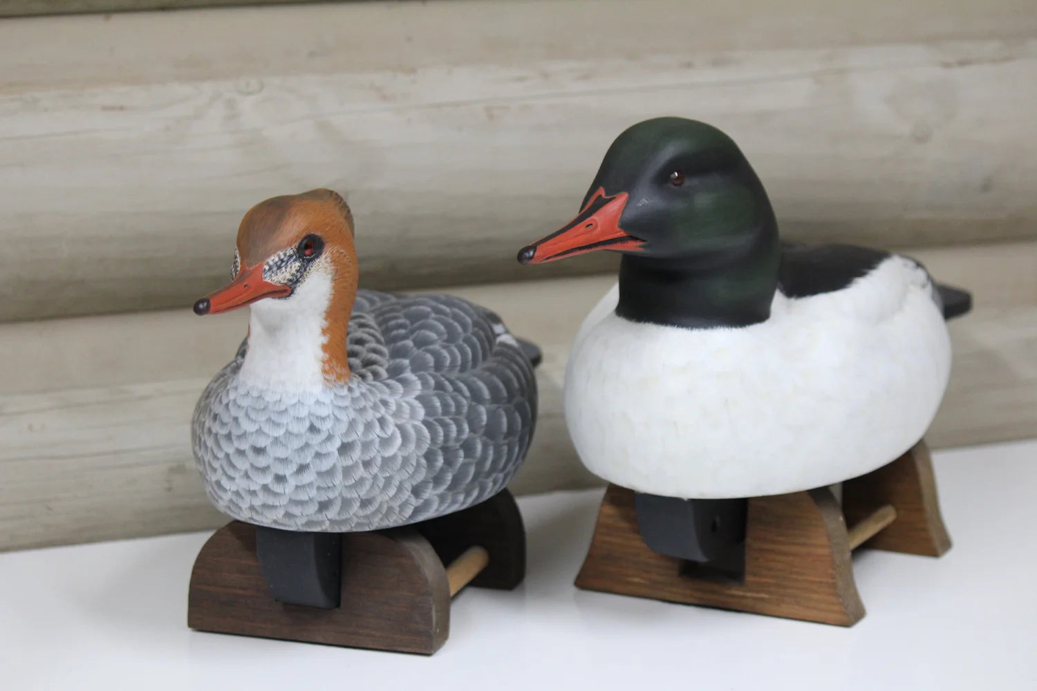 Common Mergansers