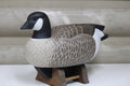 Cackling Goose