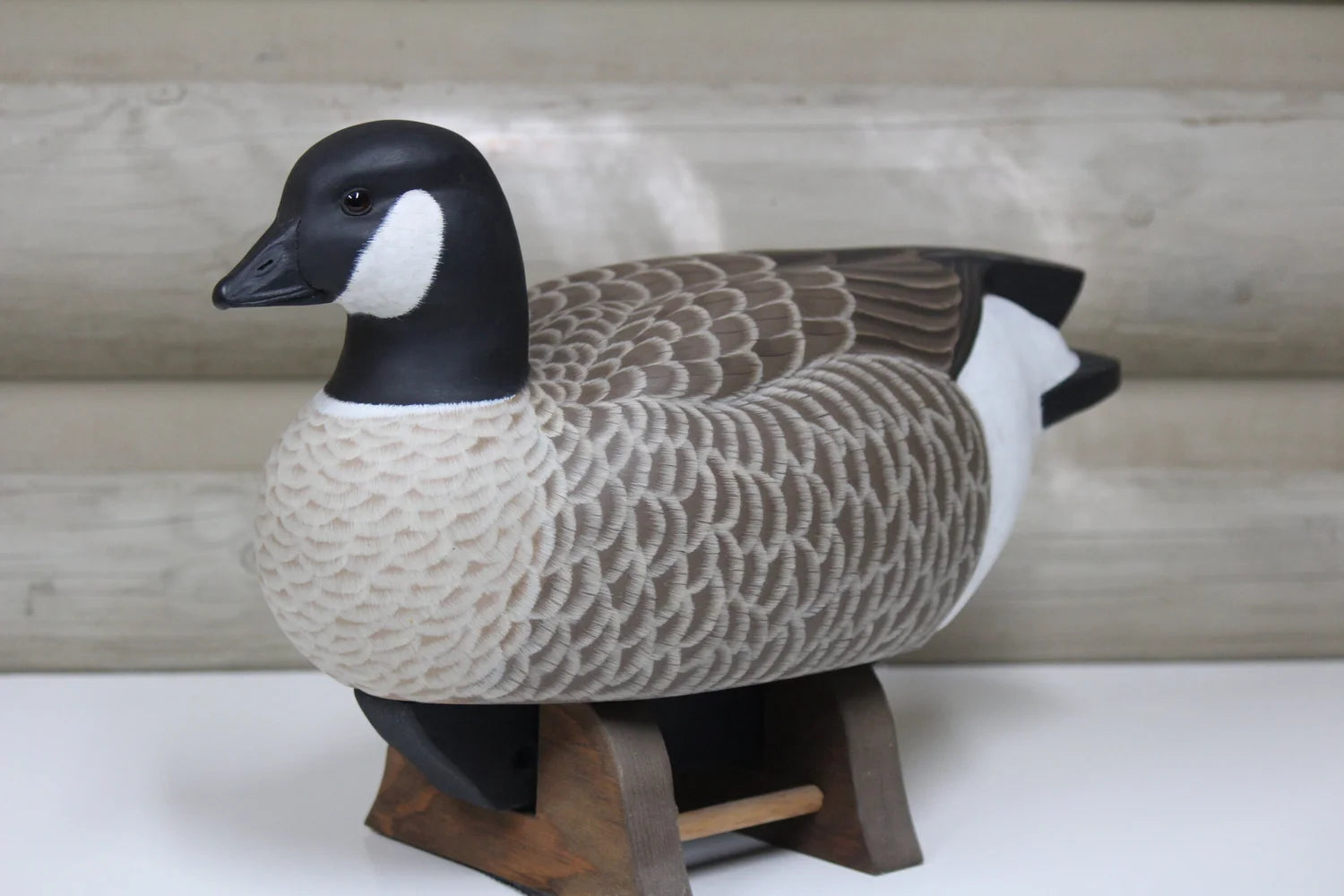 Cackling Goose