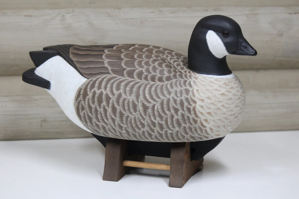 Cackling Goose