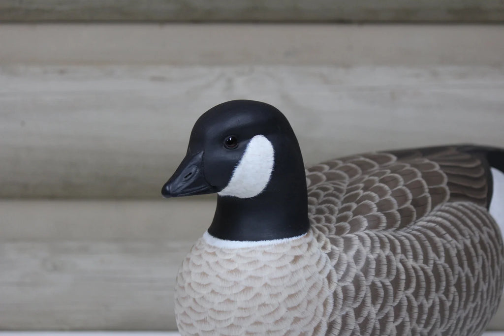 Cackling Goose