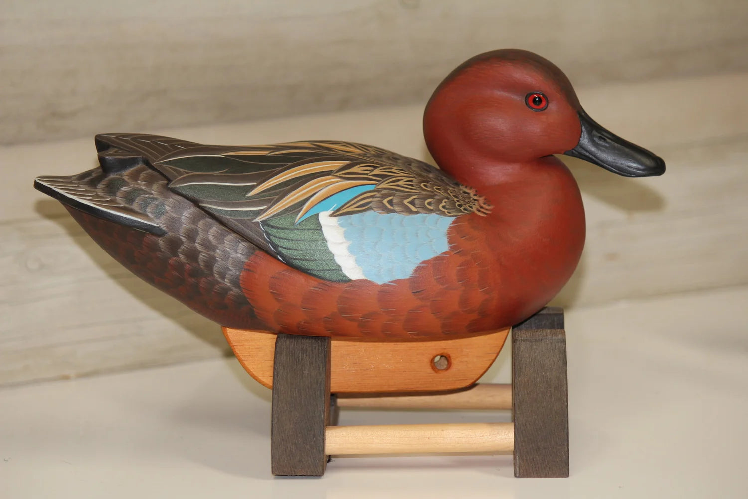 Cinnamon Teal