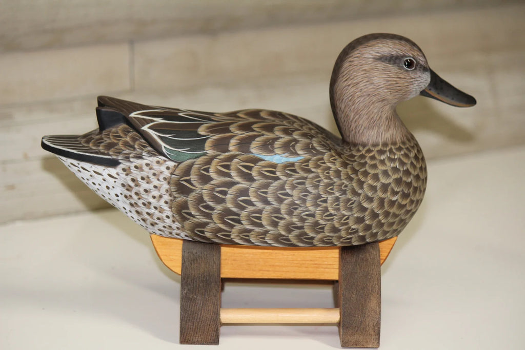 Cinnamon Teal
