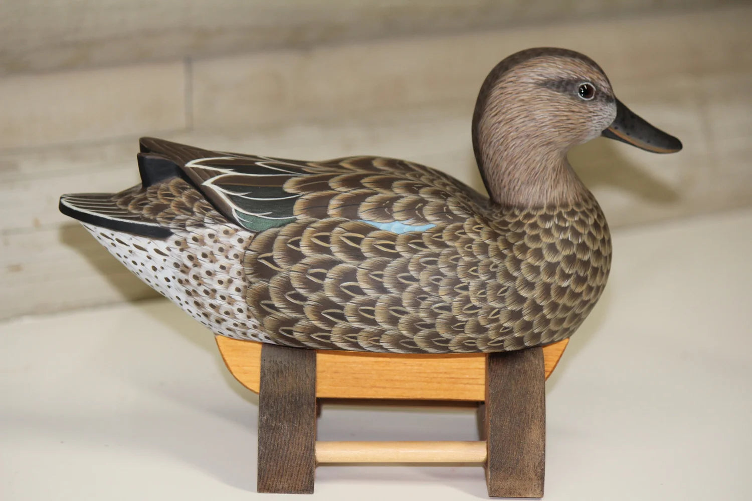 Cinnamon Teal