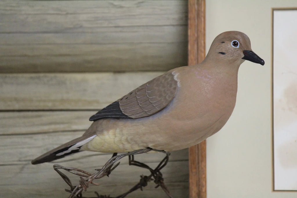Dove