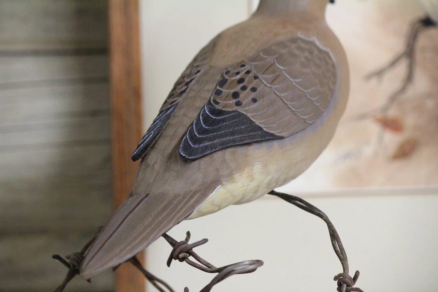 Dove