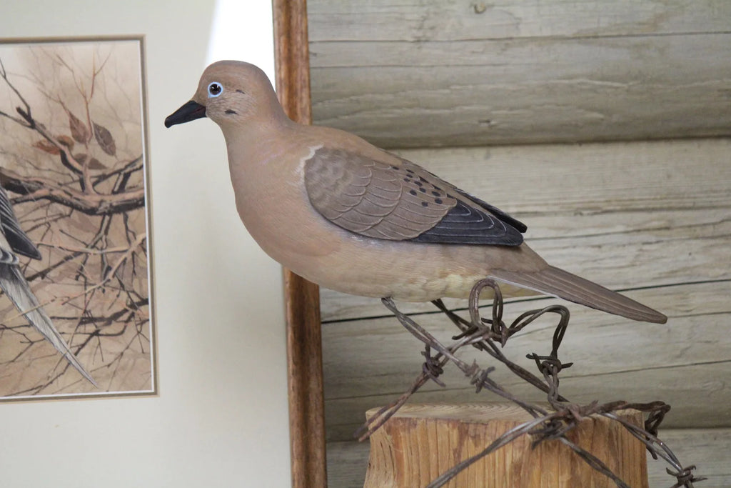 Dove
