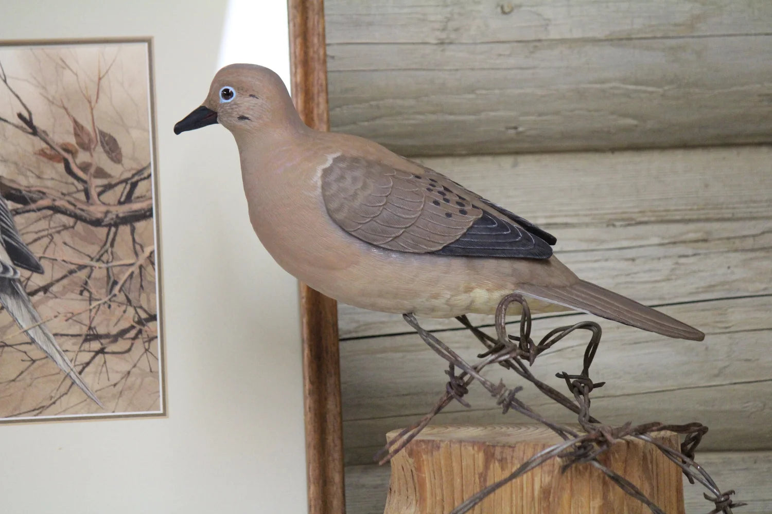 Dove