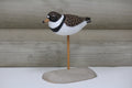 Plover