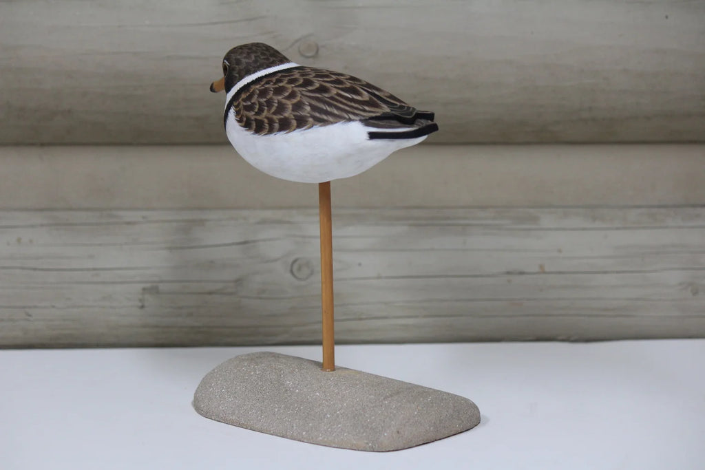 Plover