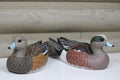Widgeons