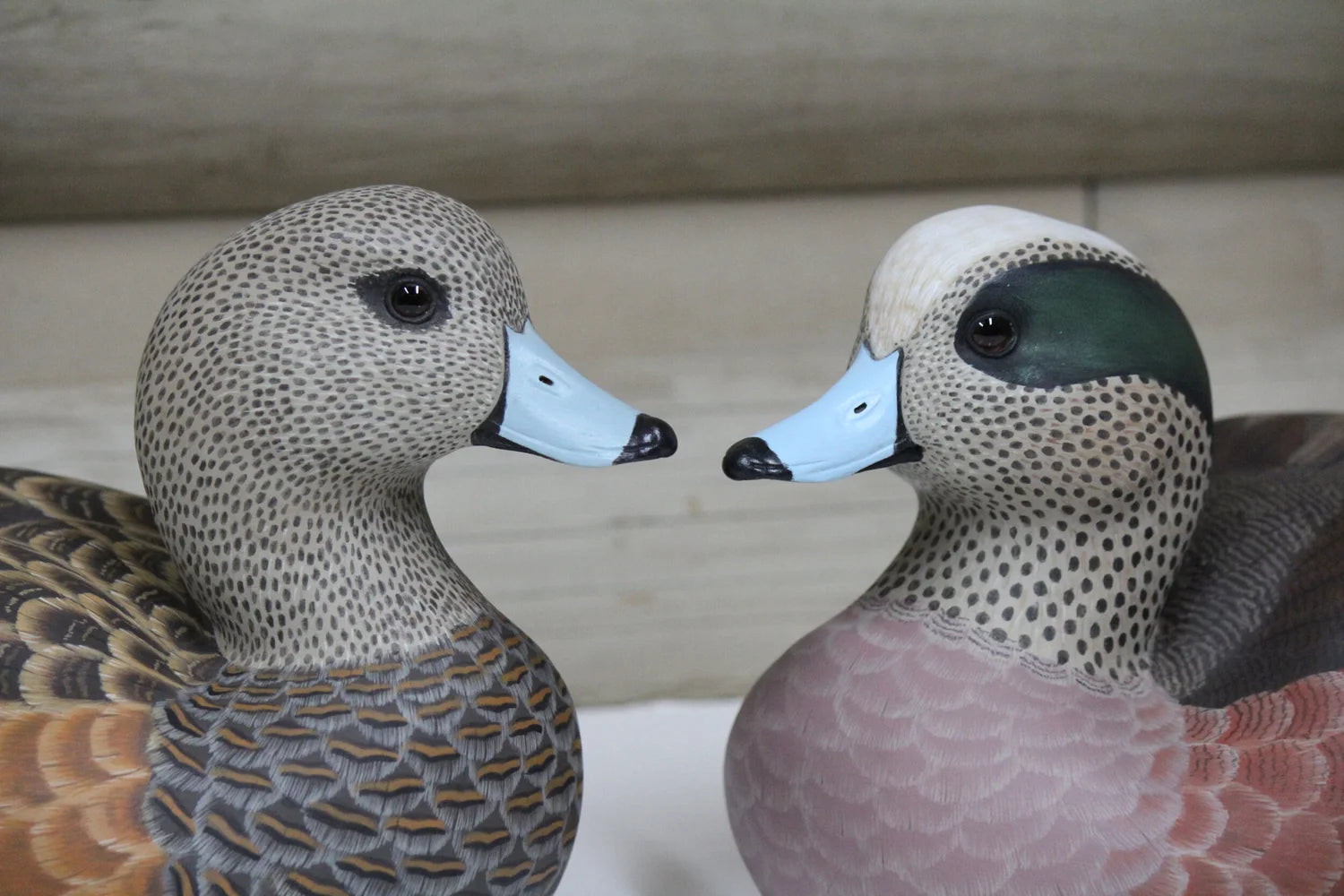 Widgeons