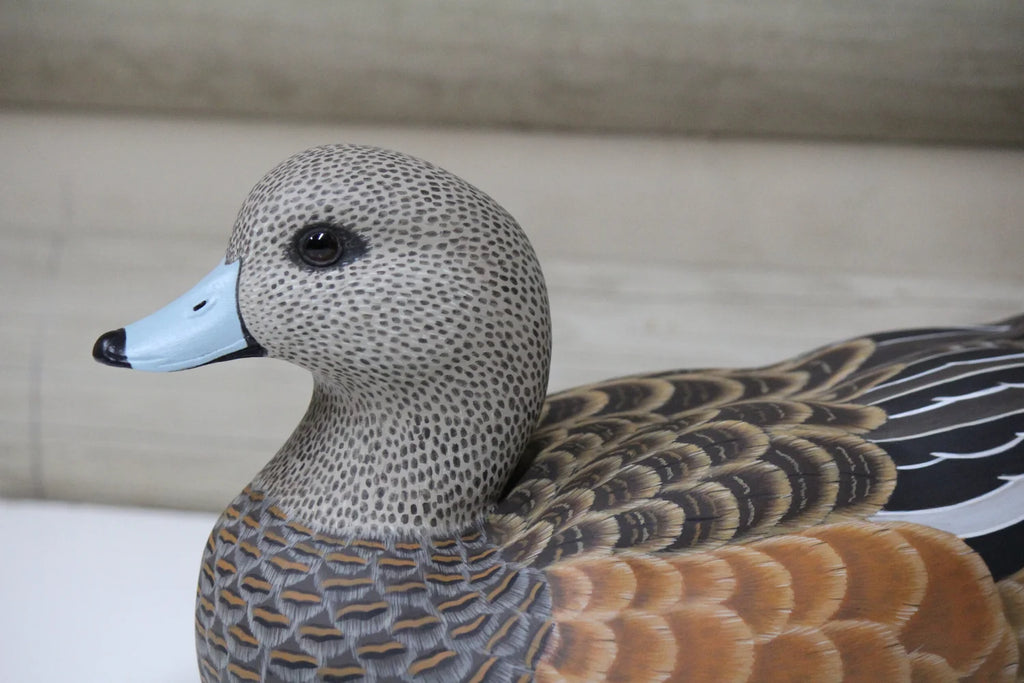 Widgeons