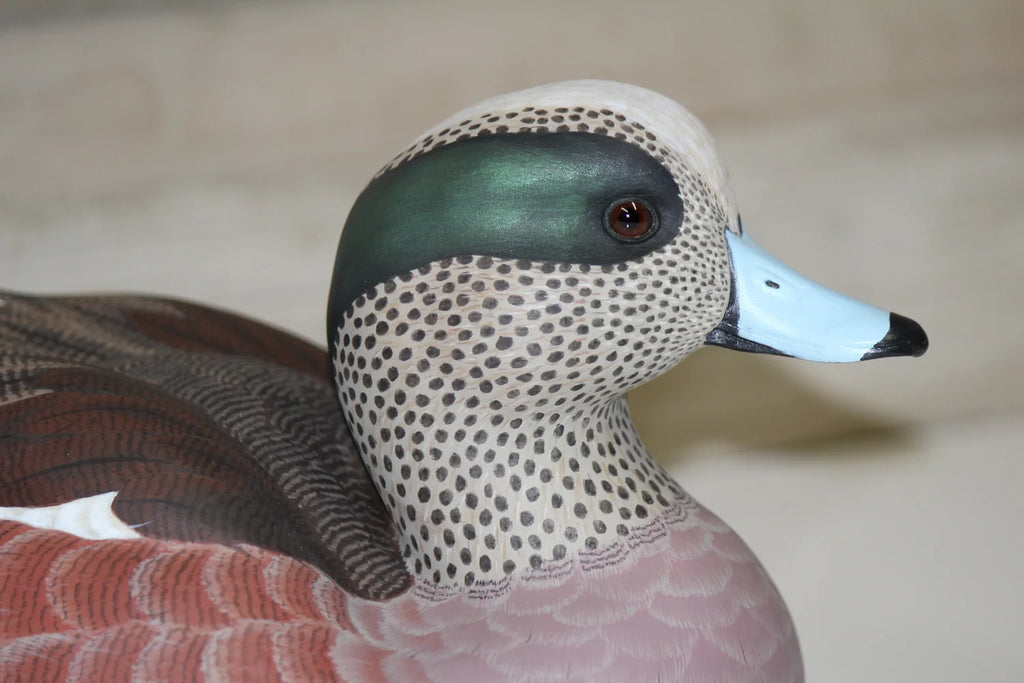 Widgeons