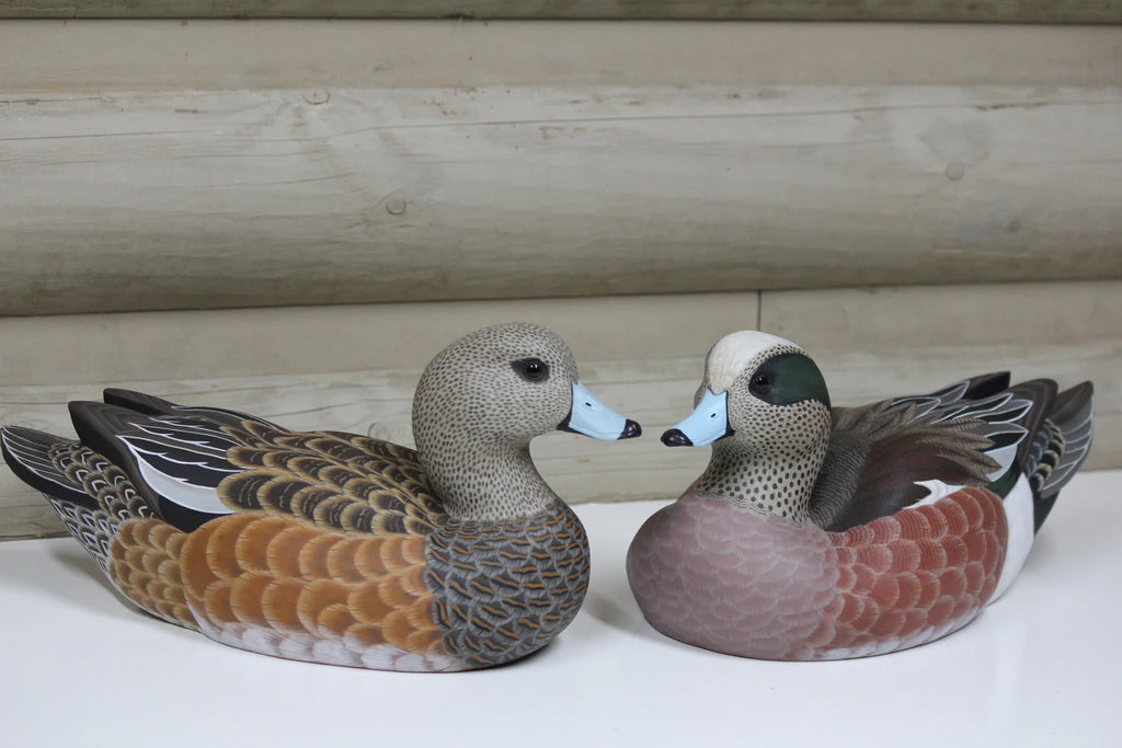 Widgeons