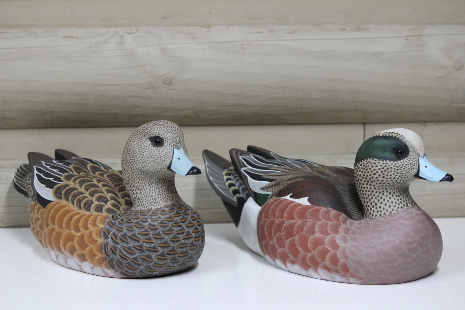 Widgeons