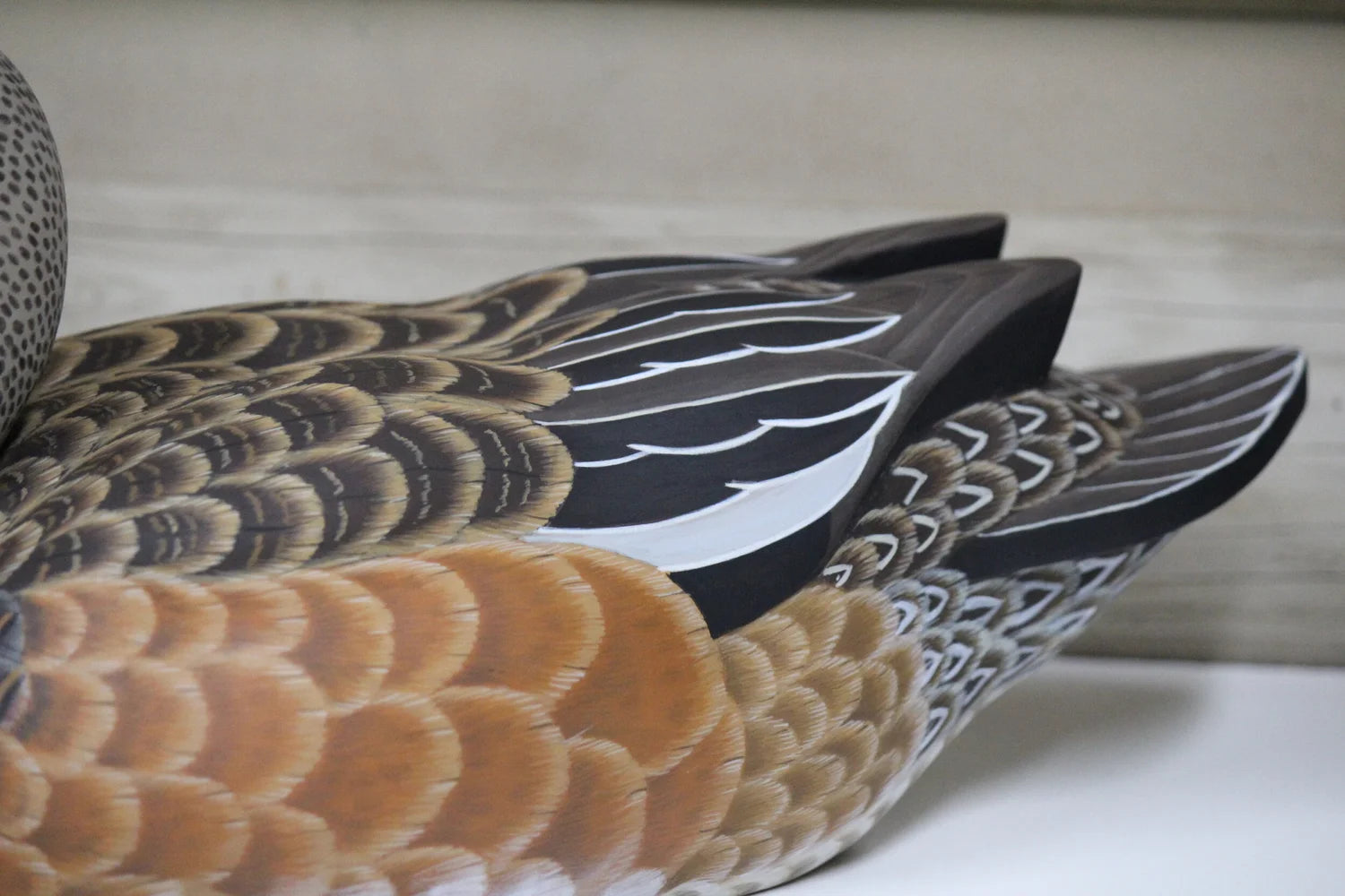 Widgeons