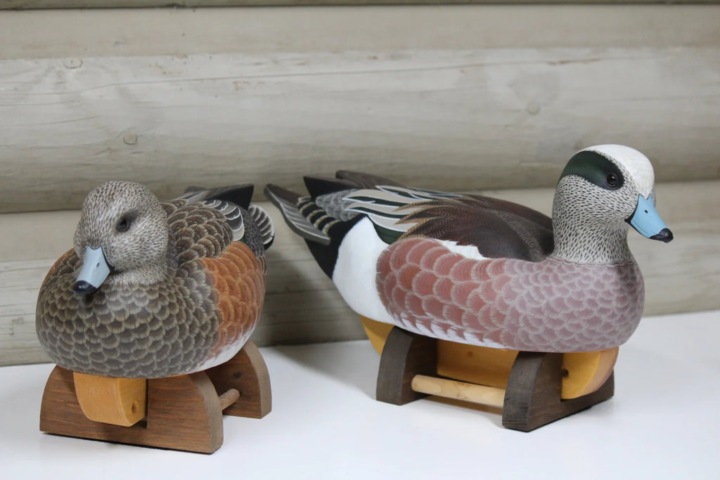 Widgeon Pair