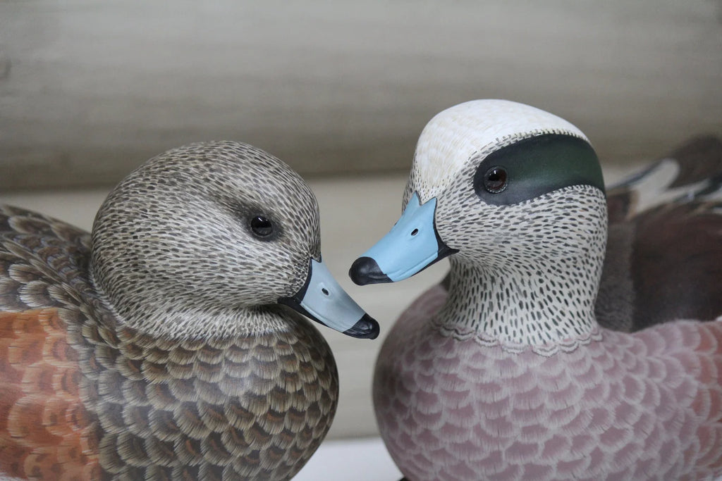 Widgeon Pair