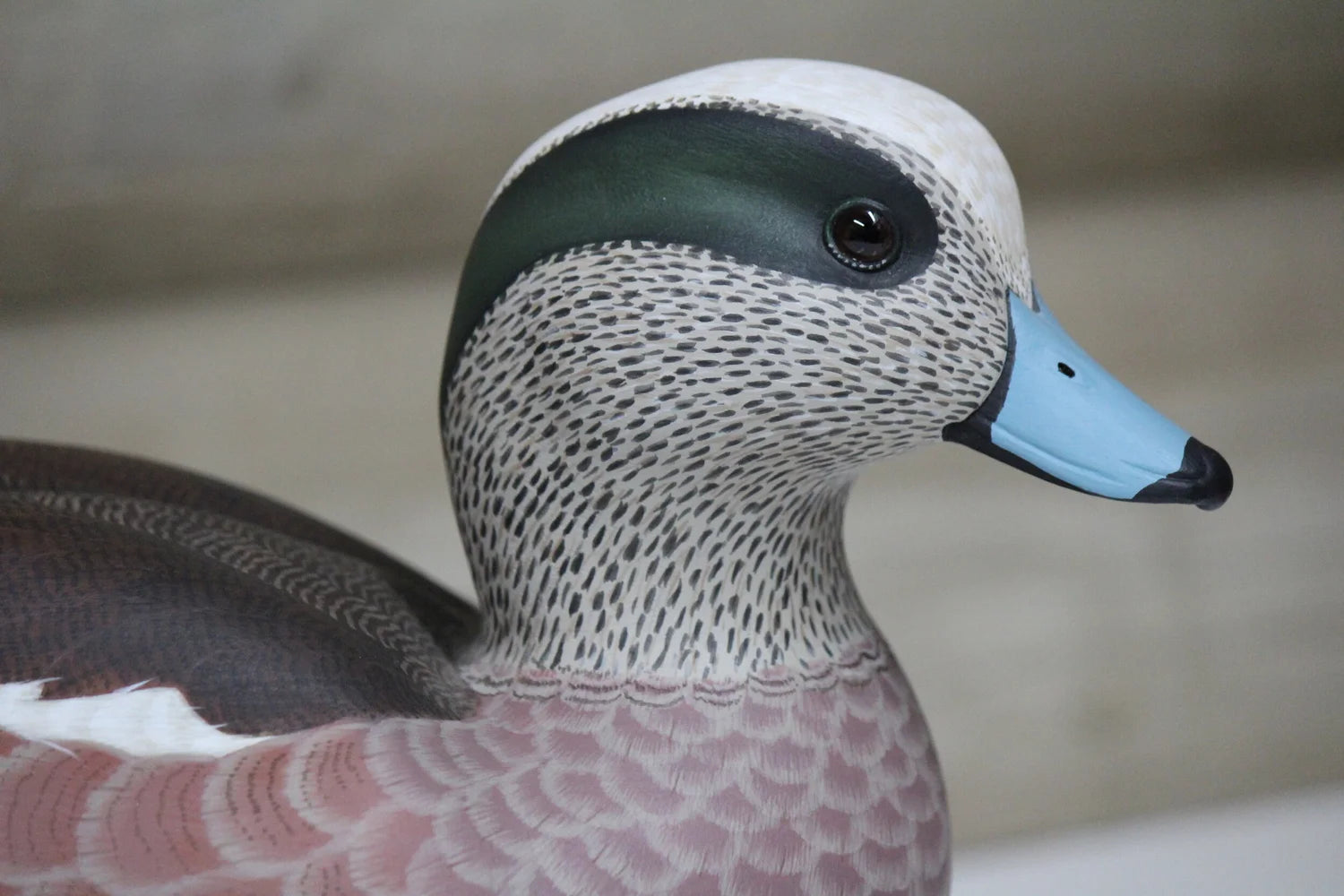Widgeon Pair