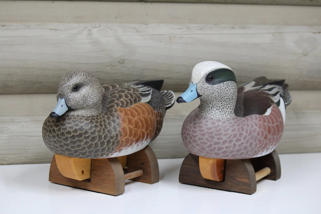 Widgeon Pair