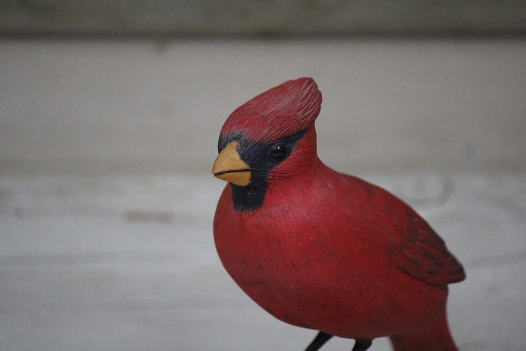 Cardinal
