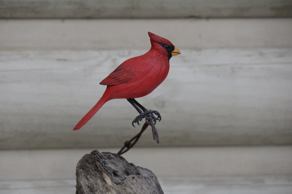 Cardinal