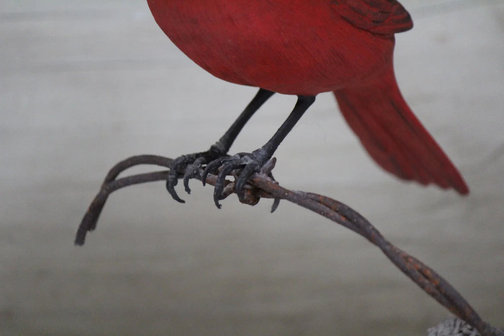 Cardinal