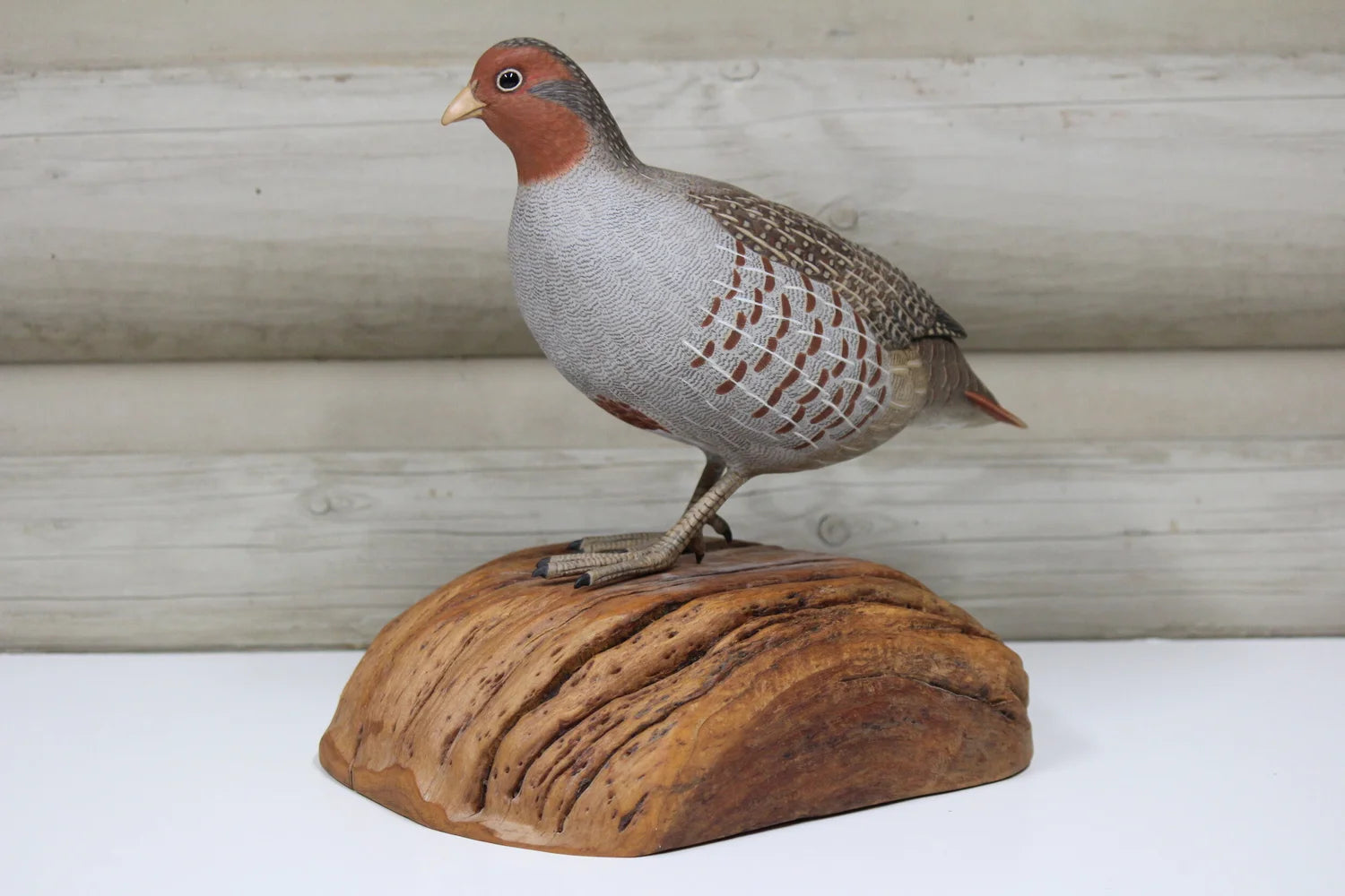 Hungarian Partridge