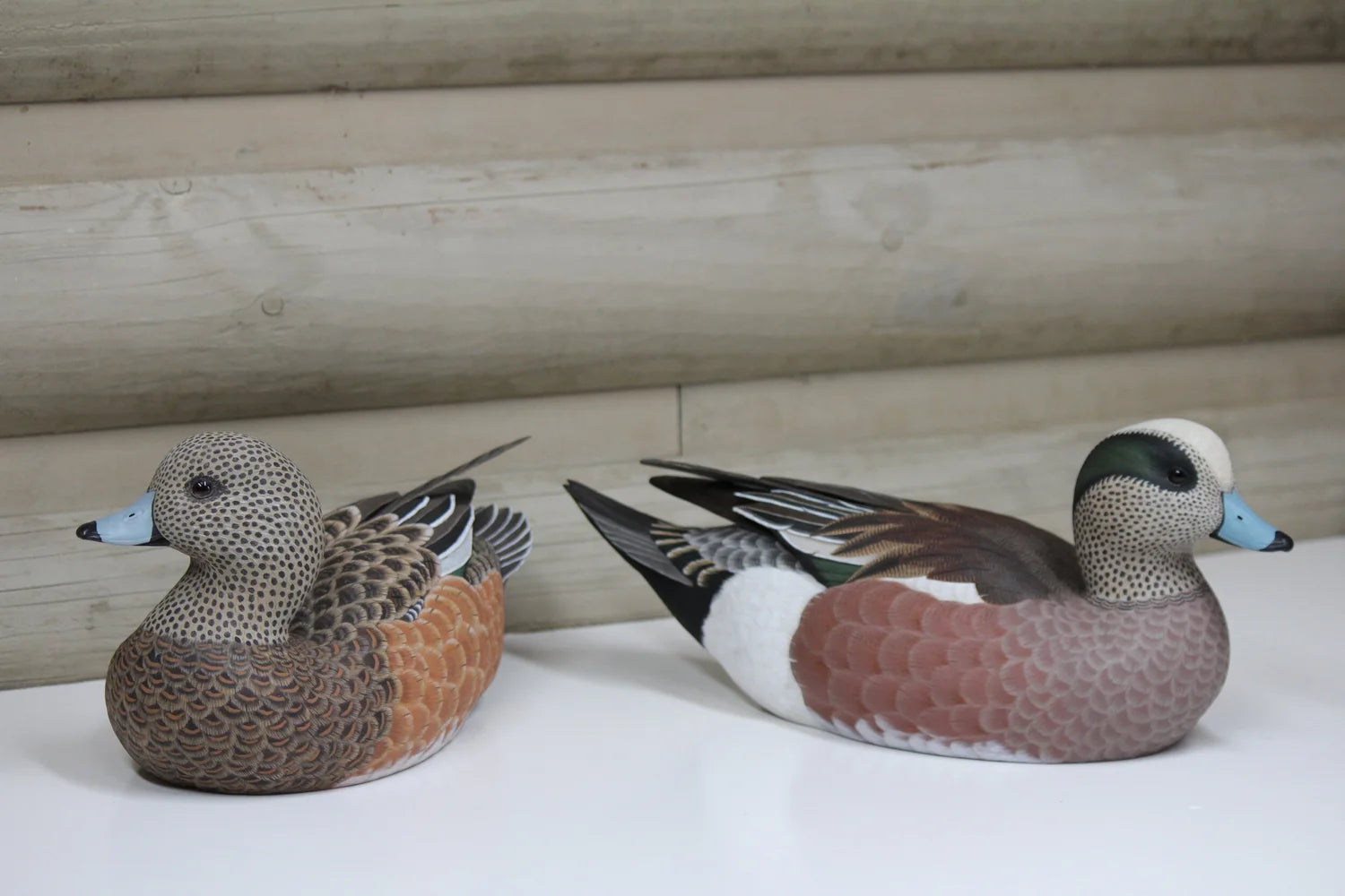 Widgeons