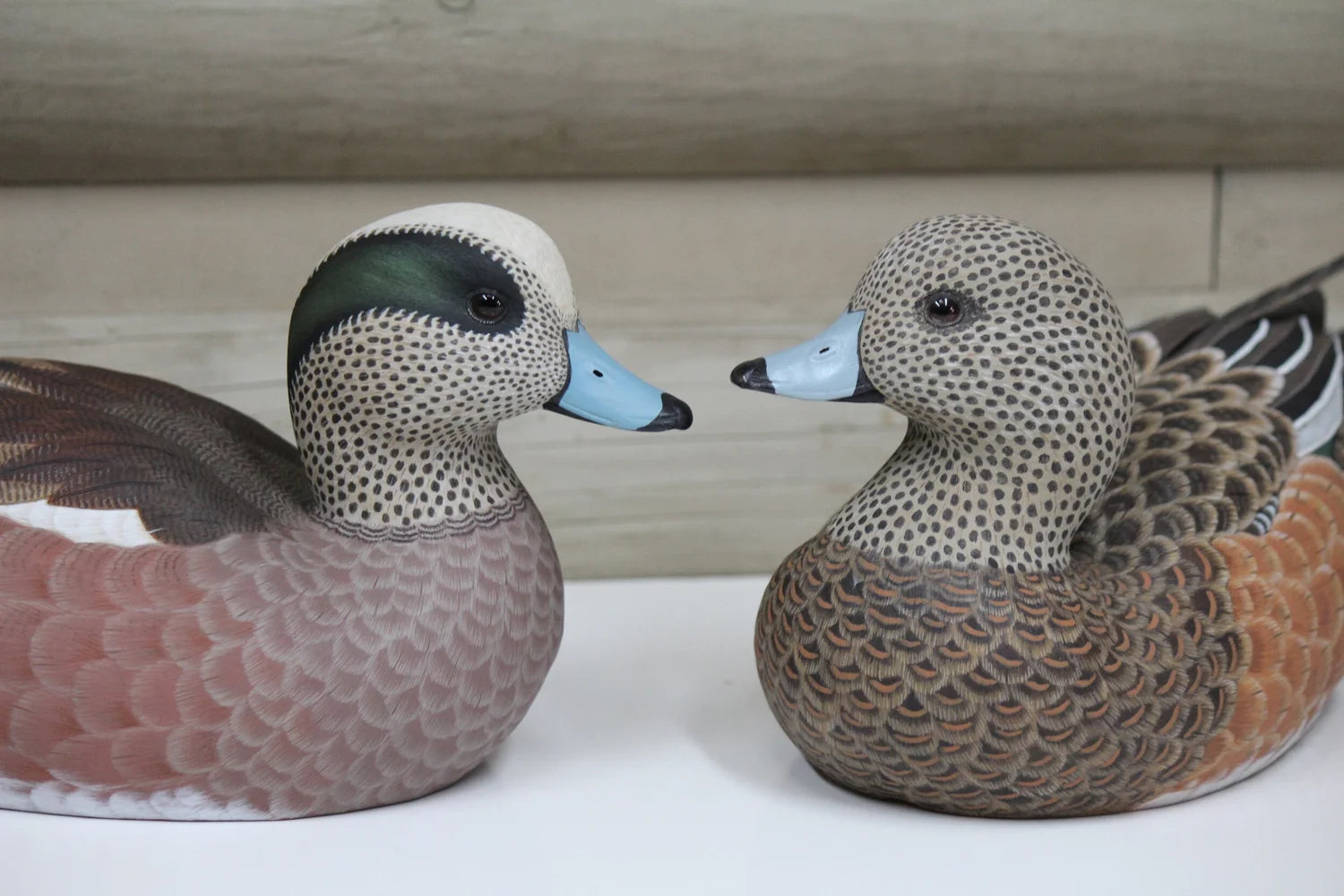 Widgeons