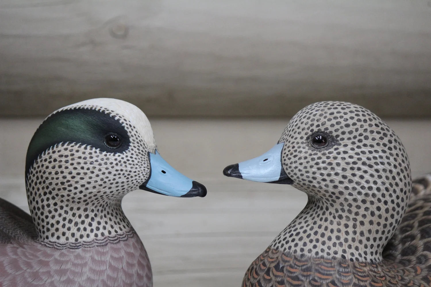 Widgeons