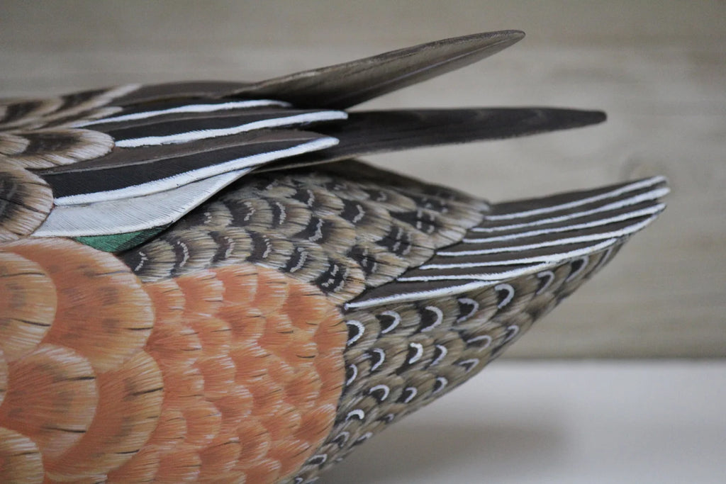 Widgeons