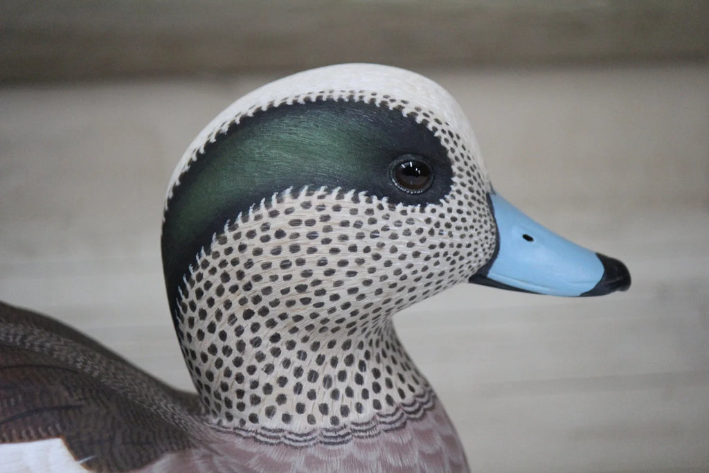 Widgeons