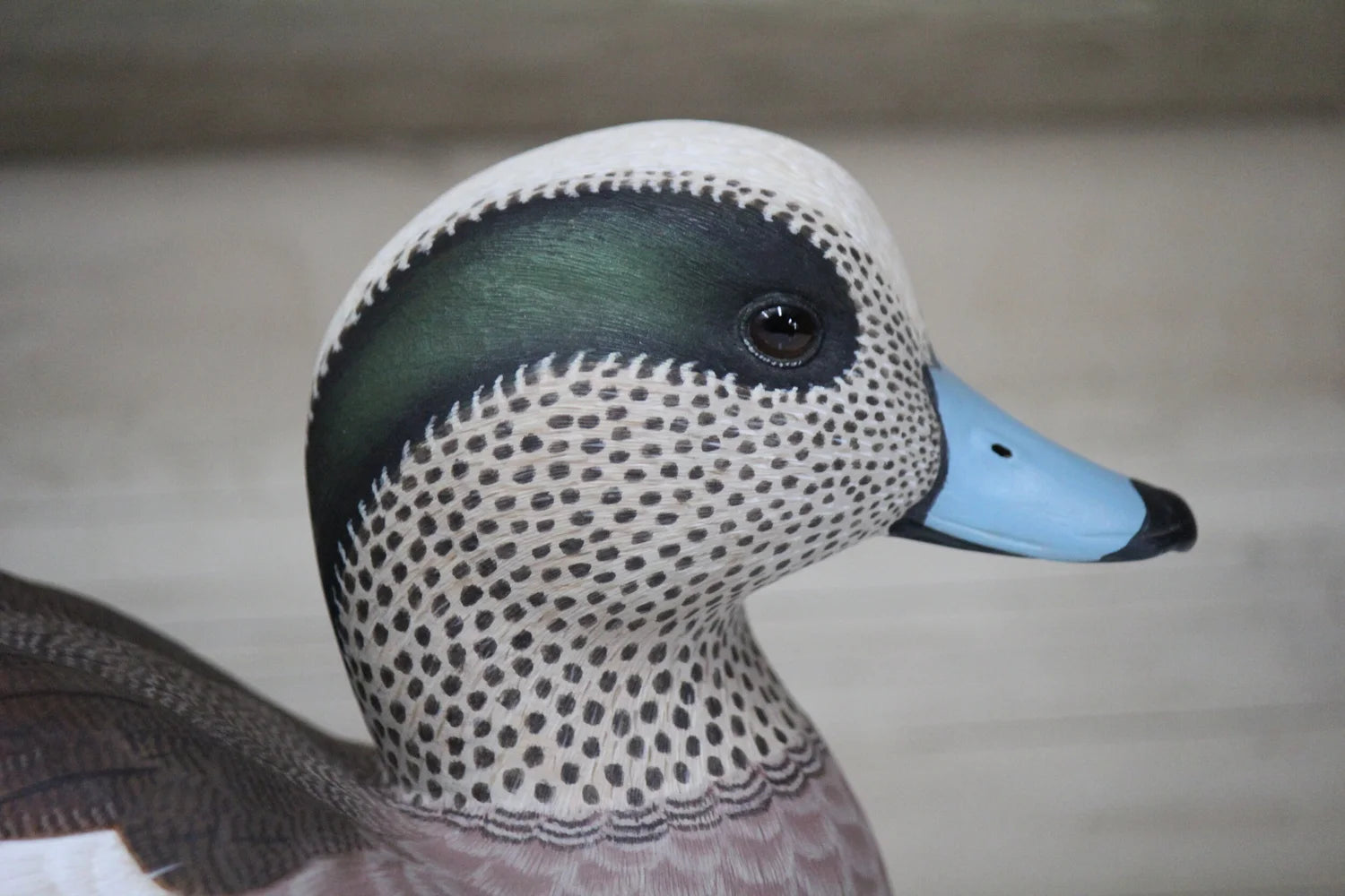 Widgeons