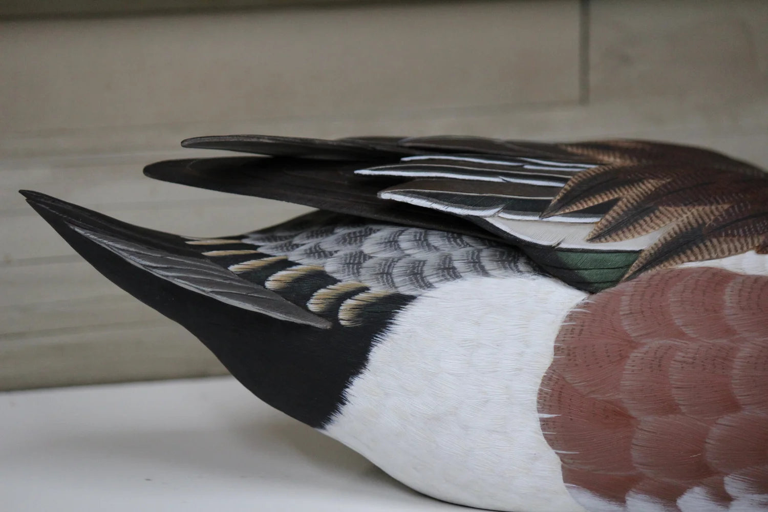 Widgeons