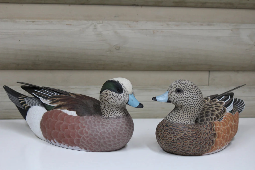 Widgeons