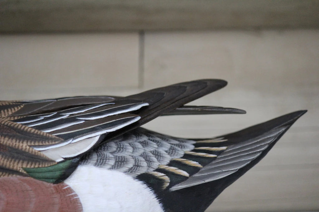 Widgeons