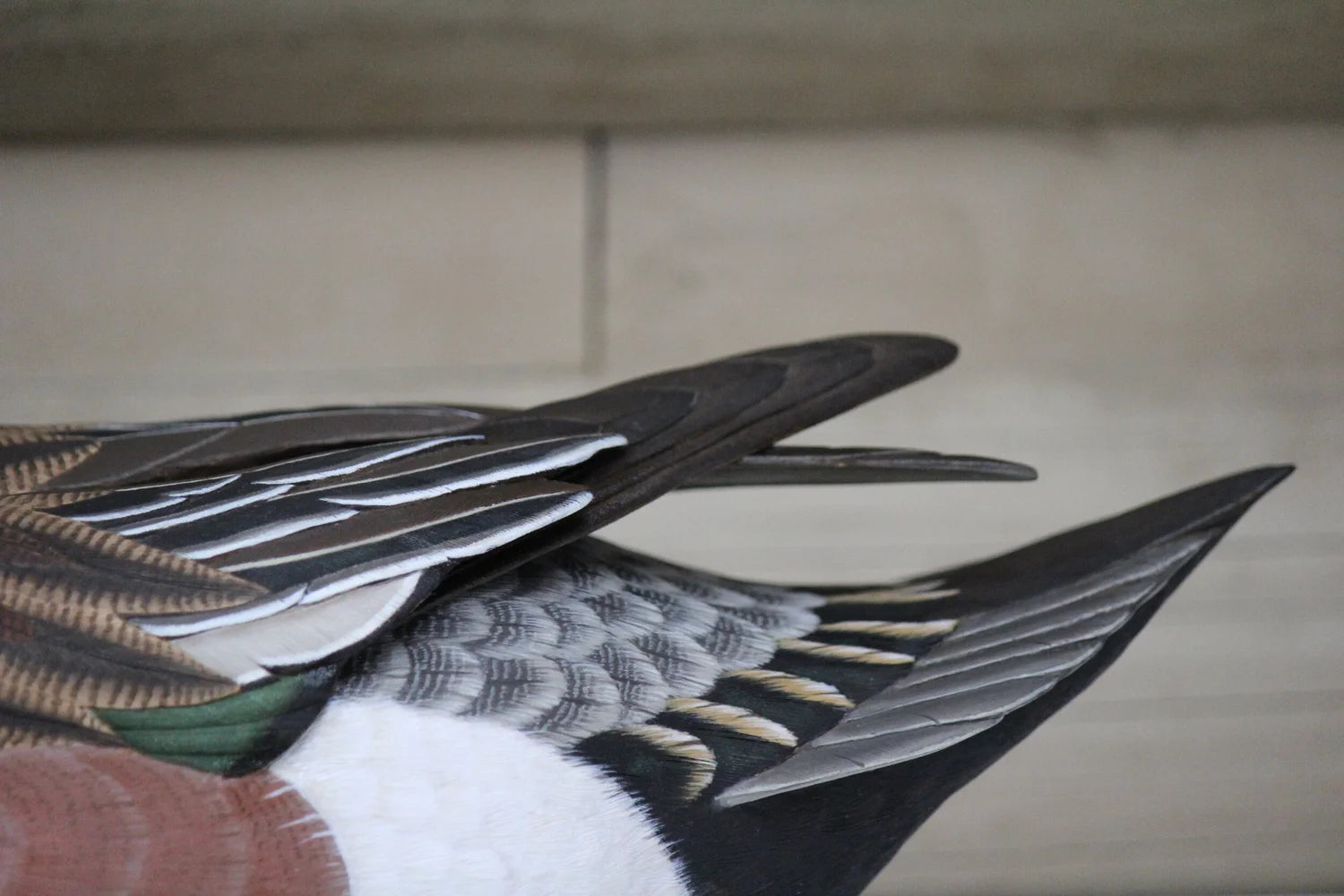 Widgeons