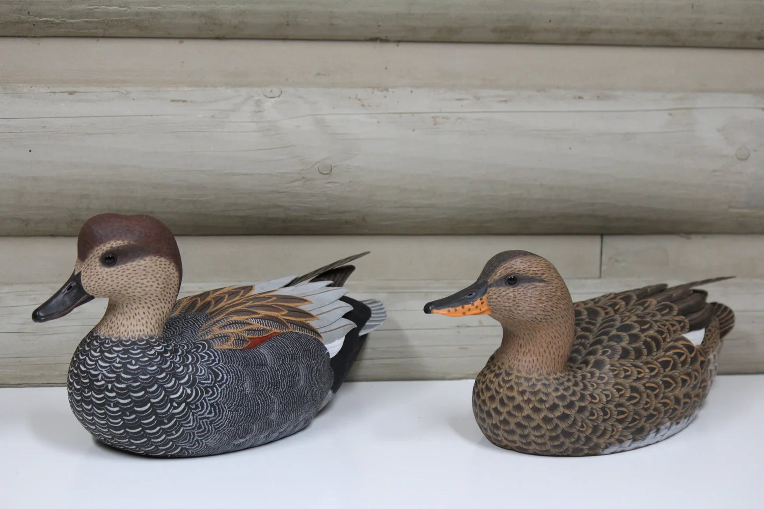 Gadwalls
