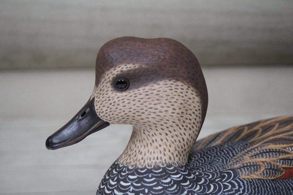 Gadwalls
