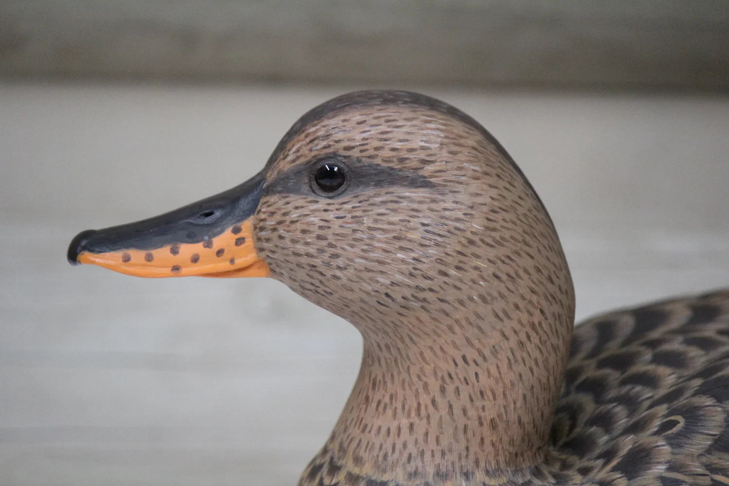 Gadwalls