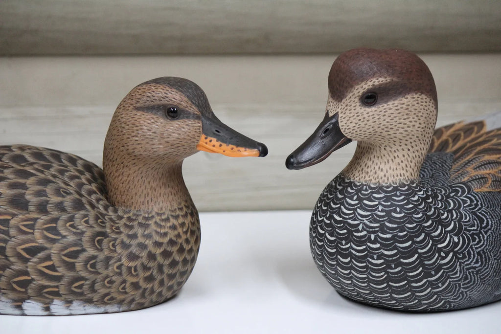 Gadwalls