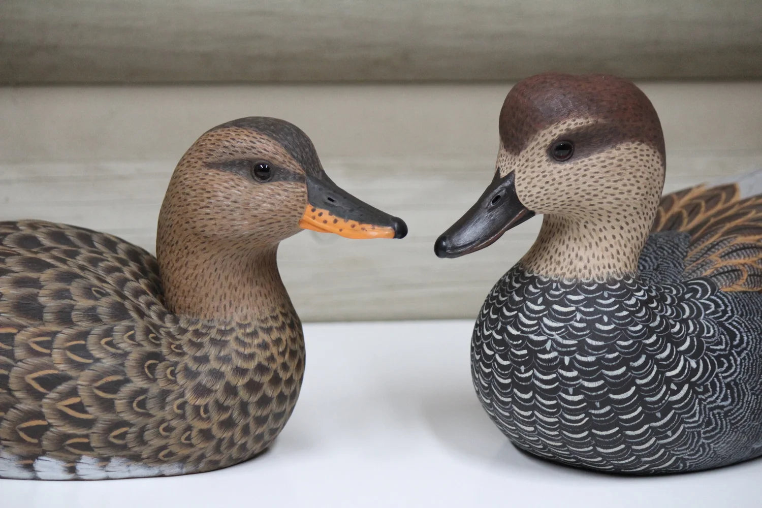 Gadwalls