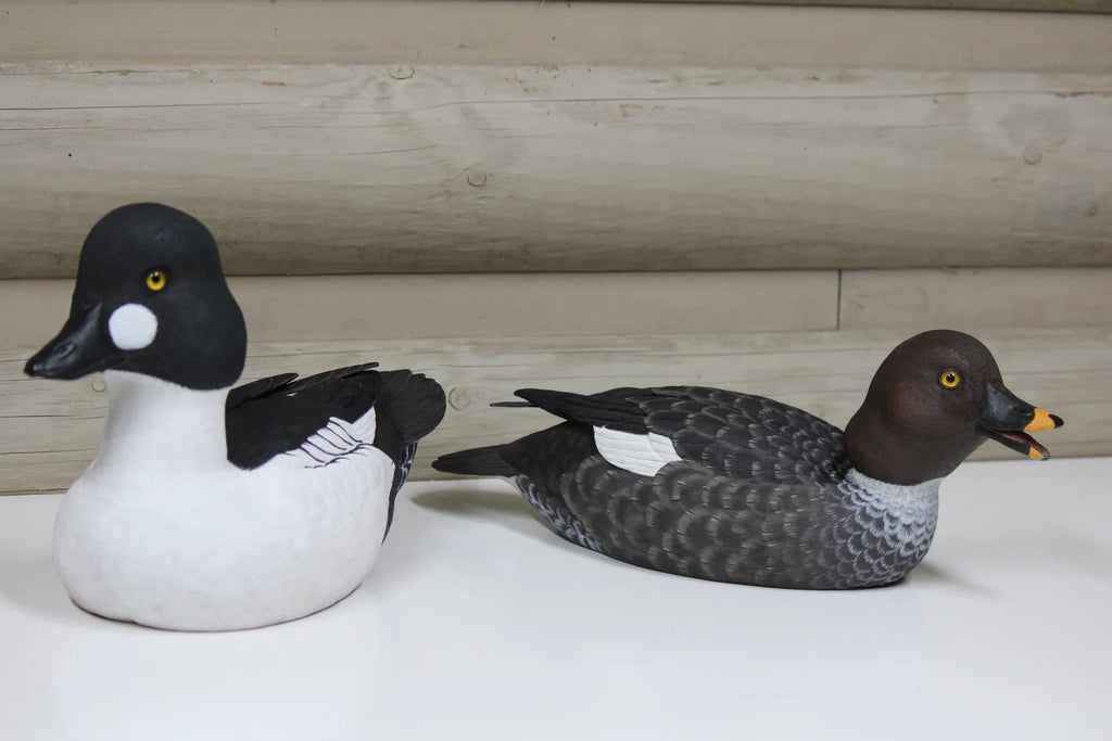 Common Goldeneyes